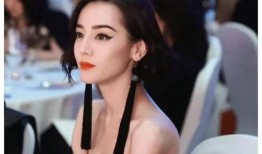 娱乐圈顶流吃瓜小说,瓜田里的璀璨星辰