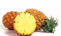 娱乐吃瓜小菠萝视频大全,盘点热门视频大全